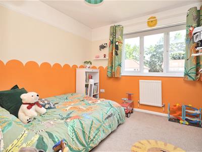 Picture 8